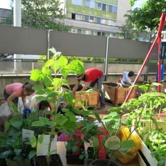 Mercredi aéré petit môme printemps 2017