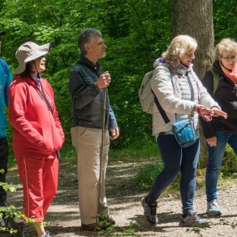 Balade du dimanche 15 mai 2016