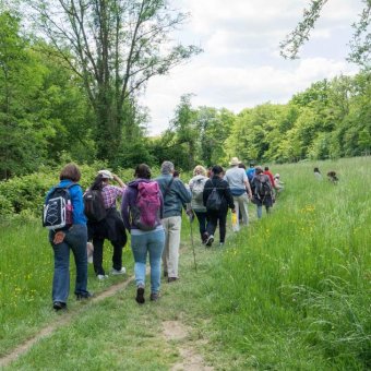 Balade du dimanche 15 mai 2016