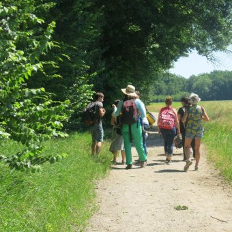 Balade du dimanche 18 juin 2017