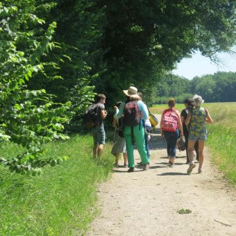 Balade du dimanche 2017