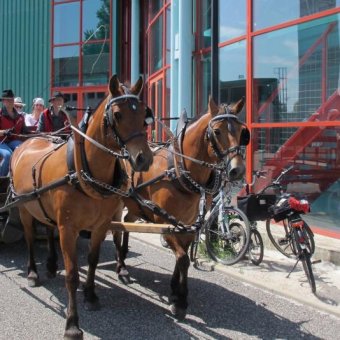 Fête des 10 ans terrain d&#039;aventures